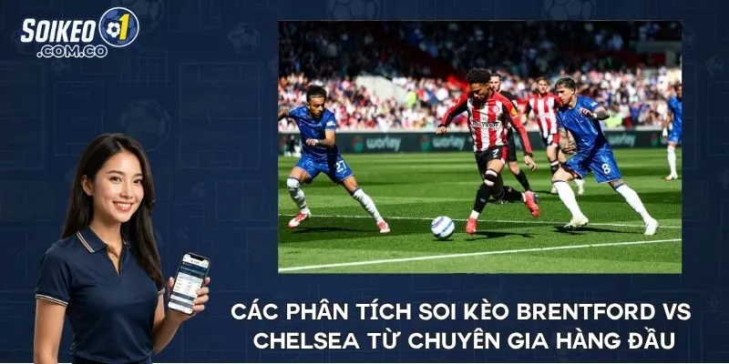 Các phân tích soi kèo Brentford vs Chelsea từ chuyên gia hàng đầu