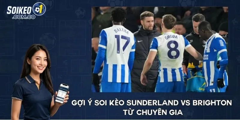 Gợi ý soi kèo Sunderland vs Brighton từ chuyên gia