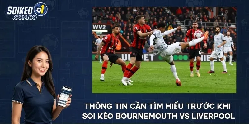 Thông tin cần tìm hiểu trước khi soi kèo Bournemouth vs Liverpool